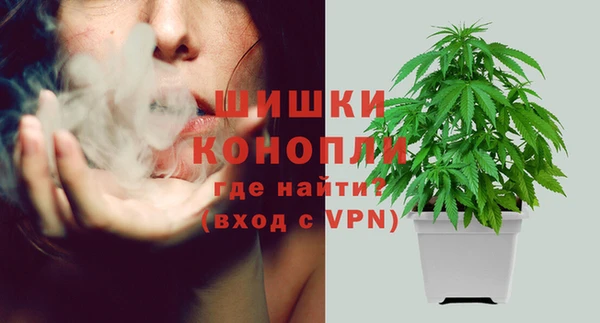МДПВ Гусиноозёрск