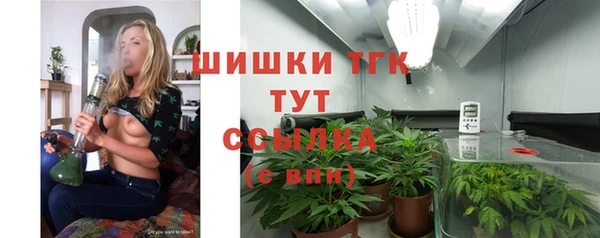 метадон Гусь-Хрустальный