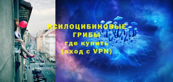 МДПВ Гусиноозёрск