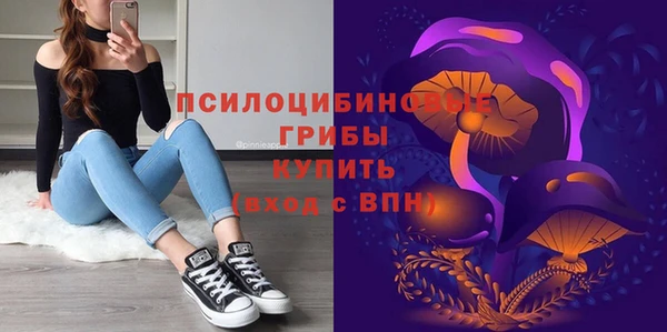 МДПВ Гусиноозёрск