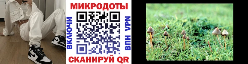 Галлюциногенные грибы прущие грибы  Купить где  Раменское 