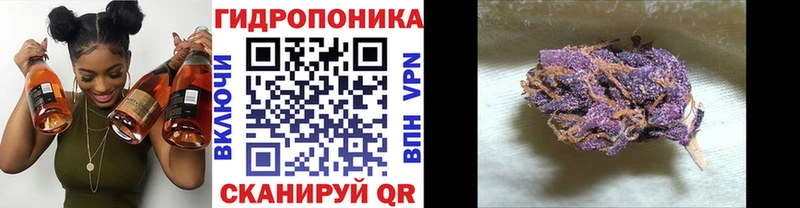 Купить  Раменское  Марихуана гибрид 